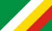 Flag ofZdunska Wola