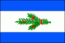 Flag ofTisa