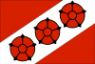 Flag ofBrzeg Dolny