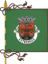 Flag ofEstremoz