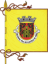 Flag ofCastelo de Vide