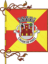 Flag ofViseu