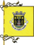 Flag ofPorto Moniz