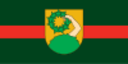 Flag ofTalsi