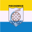 Flag ofPiechowice