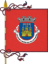 Flag ofMarvao