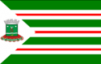 Flag ofNova Andradina