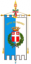 Flag ofTreviso