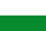 Flag ofEsmeraldas-Tachina